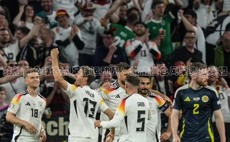 金年会电子游戏入口京东